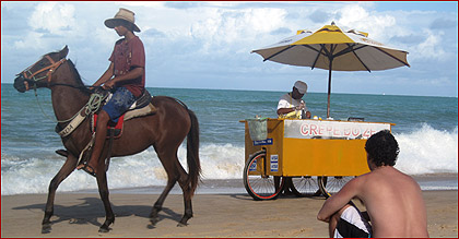 Hest på stranden